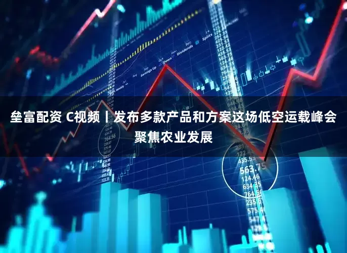垒富配资 C视频丨发布多款产品和方案这场低空运载峰会聚焦农业发展